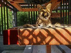 -北京野生动物园