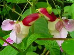 -乐道好声音量贩式KTV(北行店)