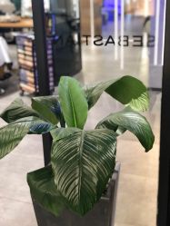 -SEBASTIAN塞巴斯汀