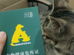 -半岛宠物医院24小时(西派城店)