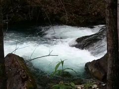 -叠溪松坪沟景区