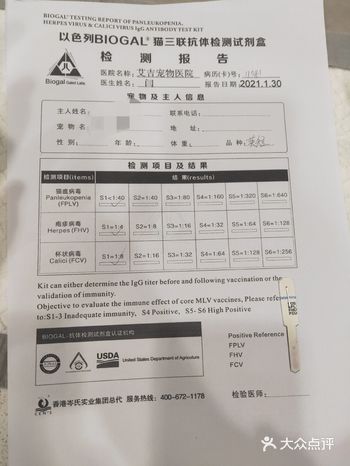 早上上班时，发现在猫砂盆里面蹲很久，以为是在拉屎