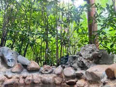 -深业半汤御泉庄温泉