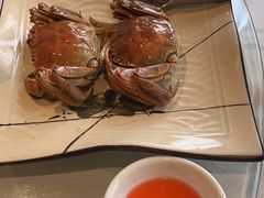 -陶缘一号·四季缘·老字号顺德菜·户外婚礼家宴(西滘店)