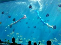 -瑞德姆美人鱼海底演艺主题餐厅(亚龙湾店)