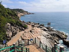 -广东惠东海龟国家级自然保护区