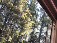-上海怡沁园度假酒店