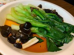 白灼菌菇菜心-新白鹿餐厅(银泰西湖文化广场店)