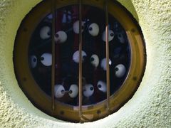 -三鹰之森吉卜力美术馆