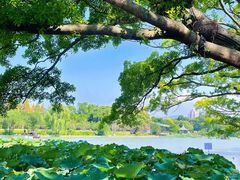 -江心屿景区