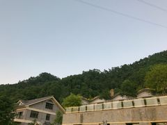 -老幺泉水鸡