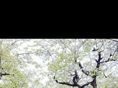 -江苏三台山国家森林公园