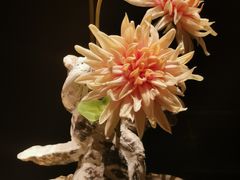 -蟹犇前•帝王蟹雪蟹(陆家嘴店)