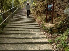 -大罗山风景区
