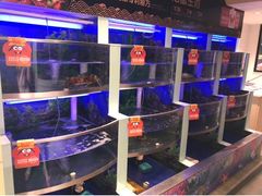 水产区-七欣天(上海淮海路新尚广场店)