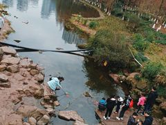 -重庆彩云湖湿地公园