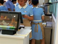 -蒲公英(五里店)