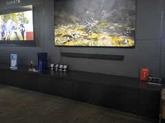 -Sony Store索尼(深圳深业上城店)