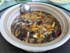-山菌美食苑(振兴路店)