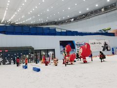 -哈尔滨热雪奇迹