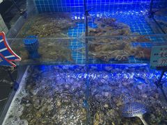 -海旺小海鲜大排档(冠亚星城店)