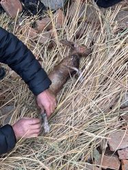 -Oasis Beauty水磨坊科技美肤中心