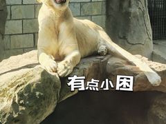 -福州动物园