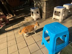 -熊面妈老面馆