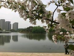 -新江湾城公园