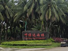 -呀诺达热带雨林