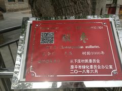 -天涯山