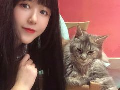 -猫色咖啡·猫咖