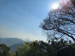 -莫干山风景区