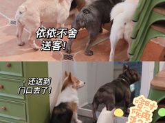 -柯斗斗主题餐厅·狗咖·围炉煮茶·茶饮(国瑞升平里店)