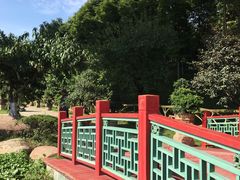 -秀丽东方