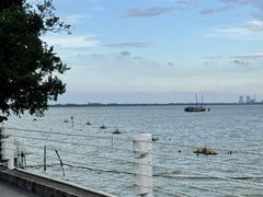 -贡湖湾湿地公园