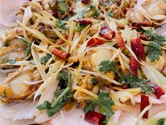 肥肥的扇贝肉-富临港·蒸汽海鲜·手抓海鲜·炒菜(栈桥店)