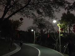 -飞凤山奥体公园