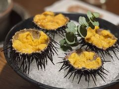 鲜活海胆-东海怡品海鲜豆捞(星街坊店)