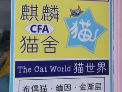 -十年猫舍·猫咪专门店(普陀店)