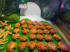 -乔哥铭洋海鲜自助(皇城恒隆广场店)