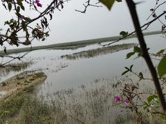 -北海金海湾红树林生态旅游区