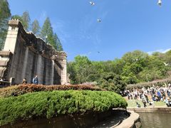 -音乐台
