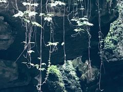 -华蓥山天意谷景区