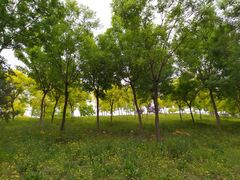 -东郊湿地公园