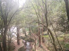 -宁波市保国寺古建筑博物馆