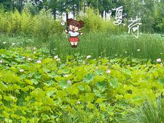 -百翠山居.家飨餐厅