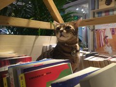 -小时光咖啡馆(开森度假森林店)