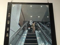 -天津美术学院-校史馆