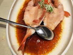 油浸东星斑-漢舍中国菜馆(889广场店)